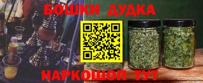 МДПВ Заводоуковск