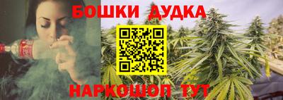 ГАЛЛЮЦИНОГЕННЫЕ ГРИБЫ Заволжье