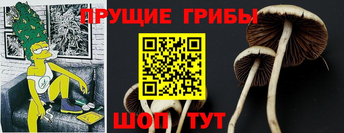 Галлюциногенные грибы прущие грибы Луга